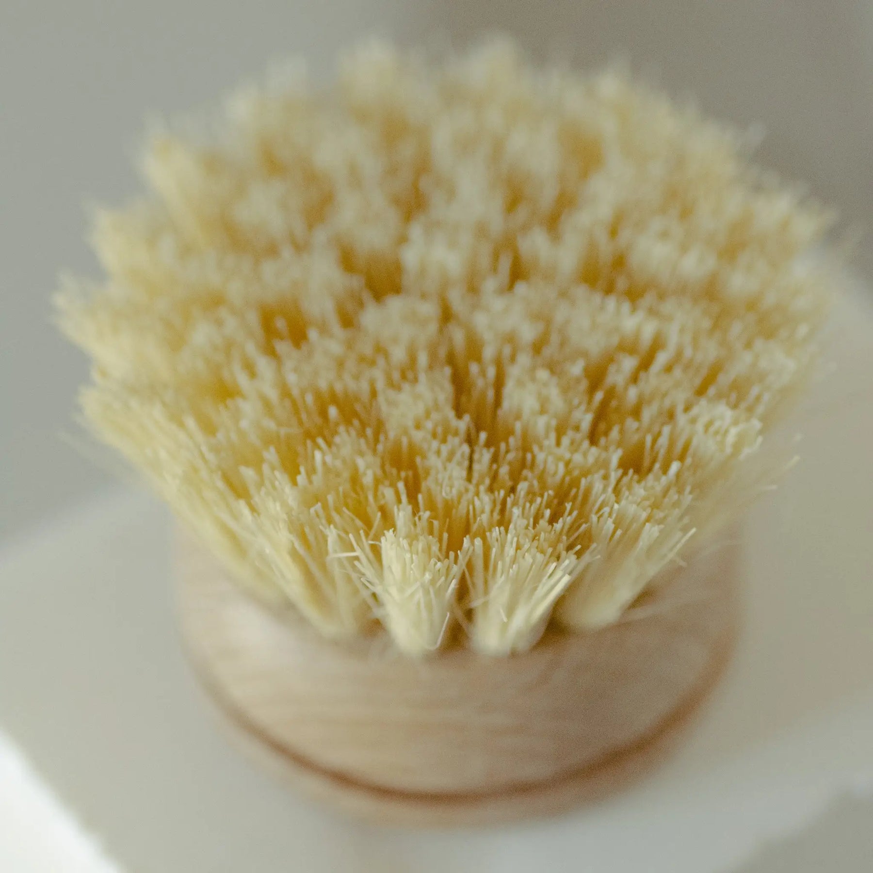 Bamboo Dish Brush Replacement Head